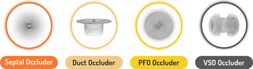 SMT Celebrates 20 Years of the Cocoon Occluder Journey, Transforming Lives in Congenital and Structural Heart Defects